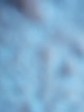 maialani online show from 6, 10, 2025