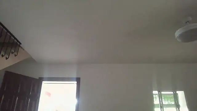 llopaco online show from 27, 6, 2026