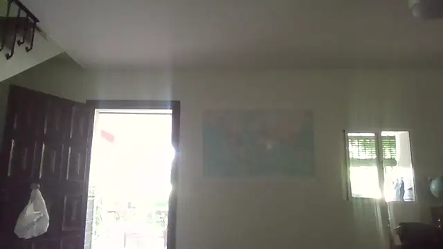 llopaco online show from 5, 7, 2026