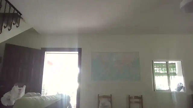 llopaco online show from 11, 7, 2026