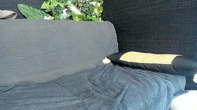 Snapshot of IngAdn chatting on 2, 3, 2025 IngAdn online show from 2, 3, 2025