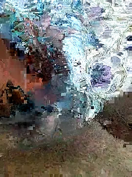 desi pb02 online show from 16, 7, 2026