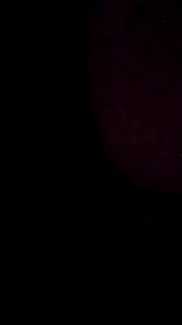 Snapshot of salchichon_69 chatting on 11, 3, 2026 salchichon 69 online show from 11, 3, 2026