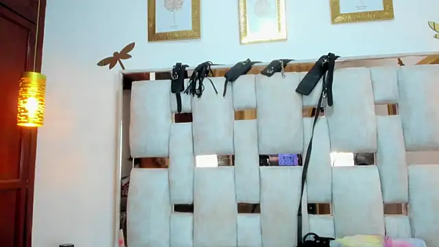 Snapshot of Braylen_Sanchez chatting on 20, 12, 2025 Braylen Sanchez online show from 20, 12, 2025