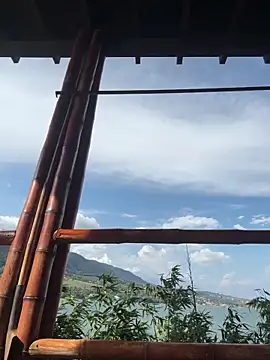 Alice surprise online show from 26, 3, 2026