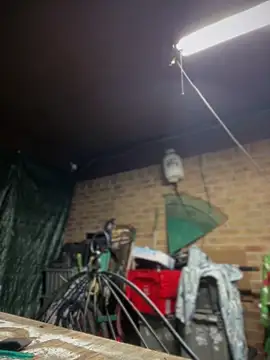 HTXBELLE online show from 13, 3, 2026