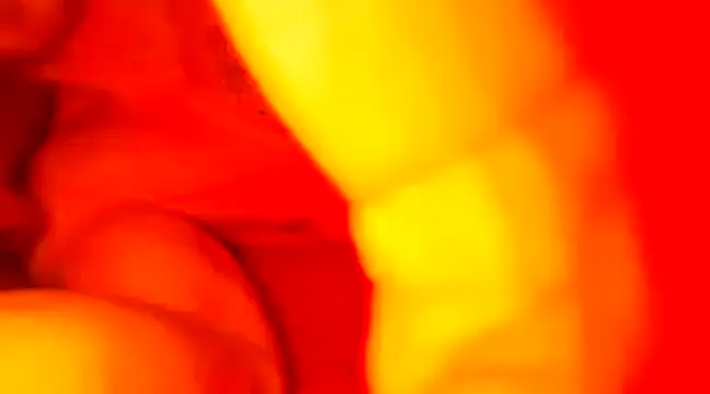 Snapshot of JCstrings chatting on 21, 2, 2025 JCstrings online show from 21, 2, 2025