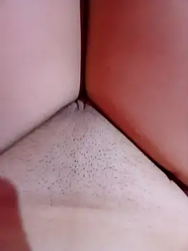 meddy delicinha online show from 2, 3, 2026