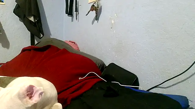 PornStro921 online show from 3, 5, 2026