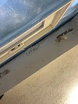 YODAPESOS online show from 23, 2, 2026