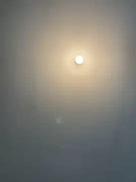 1Zoey101 online show from 15, 2, 2026