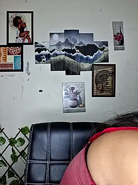 Noor-Bold online show from 7, 2, 2026