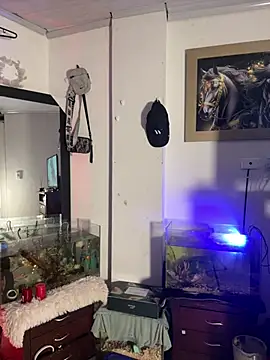 CRAZY-BOY99 online show from 11, 1, 2026