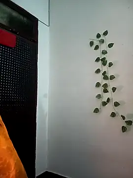 Neha-Bhabhi-Rasily online show from 27, 11, 2025