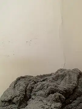 Kakarotu00 online show from 3, 8, 2026