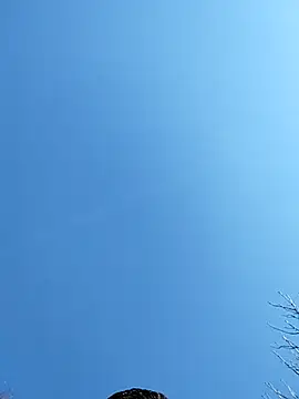 Snapshot of Anthopassif84 chatting on 17, 3, 2025 Anthopassif84 online show from 17, 3, 2025