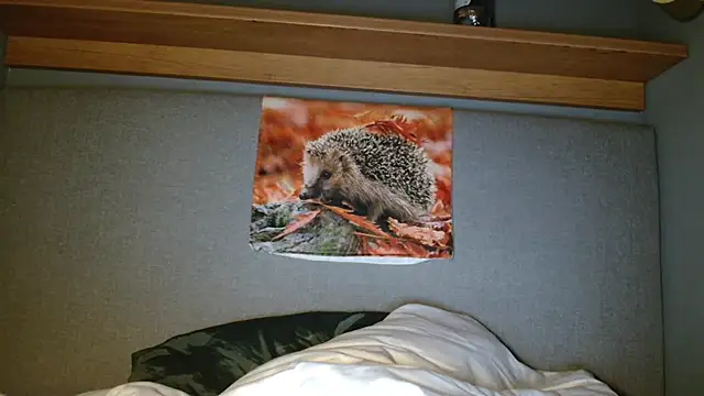 Saysay-7 online show from 5, 10, 2025