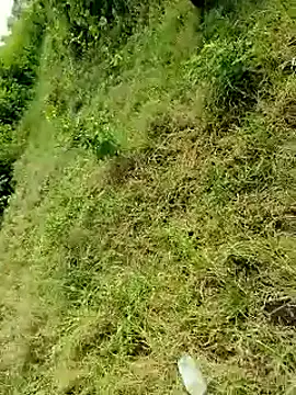 Snapshot of himvilohi08 chatting on 6, 10, 2025 himvilohi08 online show from 6, 10, 2025