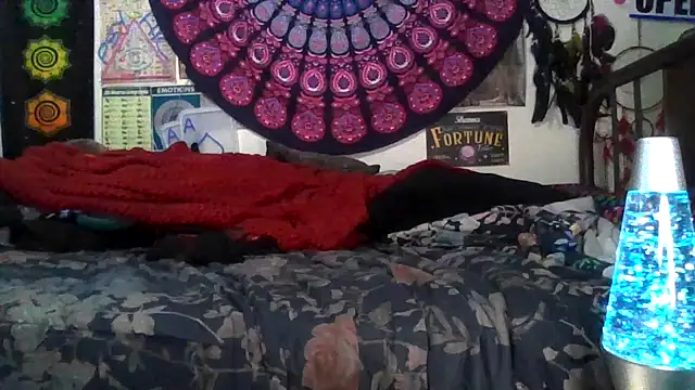 GardeniaFields online show from 11, 2, 2026