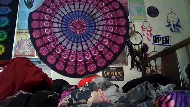 GardeniaFields online show from 24, 2, 2026