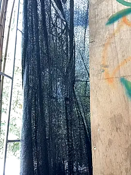 val zx online show from 10, 9, 2025