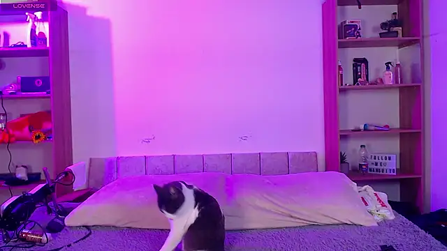 Soy mangx online show from 11, 1, 2026