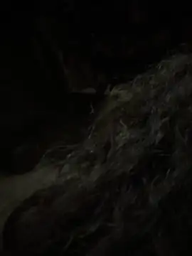 Snapshot of aa520uv chatting on 5, 2, 2026 aa520uv online show from 5, 2, 2026