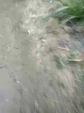 Sonia Mehra6 online show from 22, 3, 2025