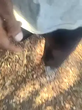 Treeskothik online show from 16, 3, 2025