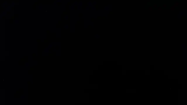 paulo666k online show from 4, 3, 2026