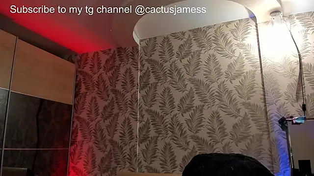 Cactus  James online show from 2, 10, 2025