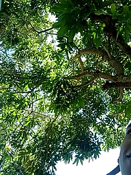 perversumm online show from 21, 9, 2025