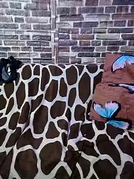 Snapshot of Casadaculona30 chatting on 3, 3, 2026 Casadaculona30 online show from 3, 3, 2026