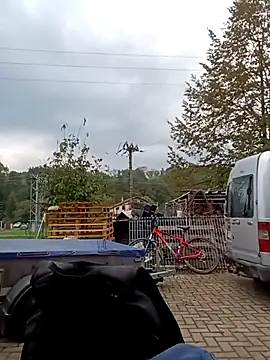 Dokonaly online show from 1, 10, 2025