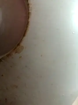 Dabunation online show from 8, 10, 2025