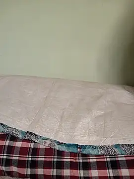 Snapshot of Desi_Bhabi_01 chatting on 1, 11, 2025 Desi Bhabi 01 online show from 1, 11, 2025