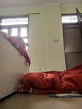 Snapshot of Desi_Bhabi_01 chatting on 4, 2, 2026 Desi Bhabi 01 online show from 4, 2, 2026