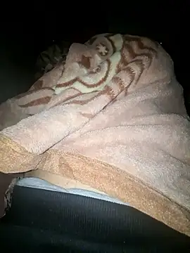 amirzinou online show from 26, 10, 2025