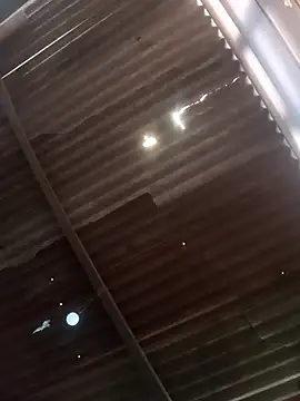 srtsara online show from 20, 2, 2026