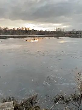 Snapshot of elliot_scott chatting on 22, 10, 2025 elliot scott online show from 22, 10, 2025