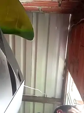 527ca online show from 4, 4, 2026