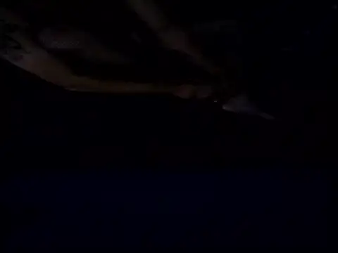 Snapshot of Crossedsissy chatting on 15, 12, 2025 Crossedsissy online show from 15, 12, 2025