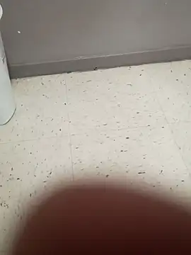 Snapshot of Crossedsissy chatting on 22, 3, 2026 Crossedsissy online show from 22, 3, 2026