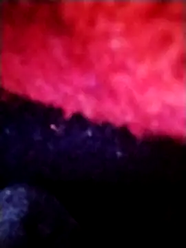 Snapshot of salimbasha chatting on 28, 9, 2025 salimbasha online show from 28, 9, 2025