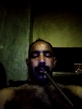 salimbasha online show from 2, 5, 2026