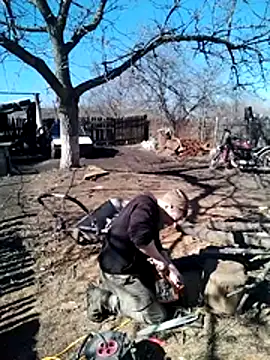 Alexilon online show from 10, 3, 2026