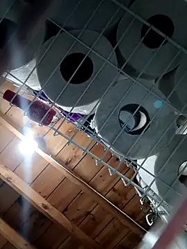 Snapshot of Single_lagunero chatting on 16, 3, 2026 Single lagunero online show from 16, 3, 2026