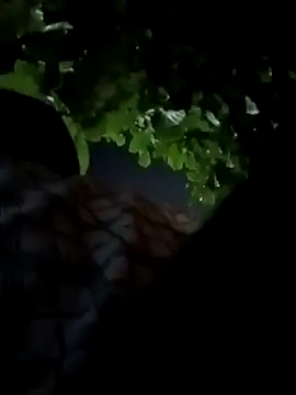 Rajopensex 955 online show from 21, 3, 2026