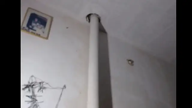 Snapshot of BebaFoxx chatting on 3, 3, 2026 BebaFoxx online show from 3, 3, 2026