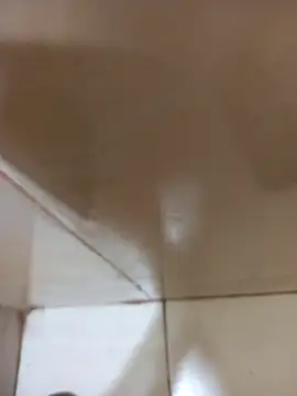 vboli08 online show from 24, 10, 2025